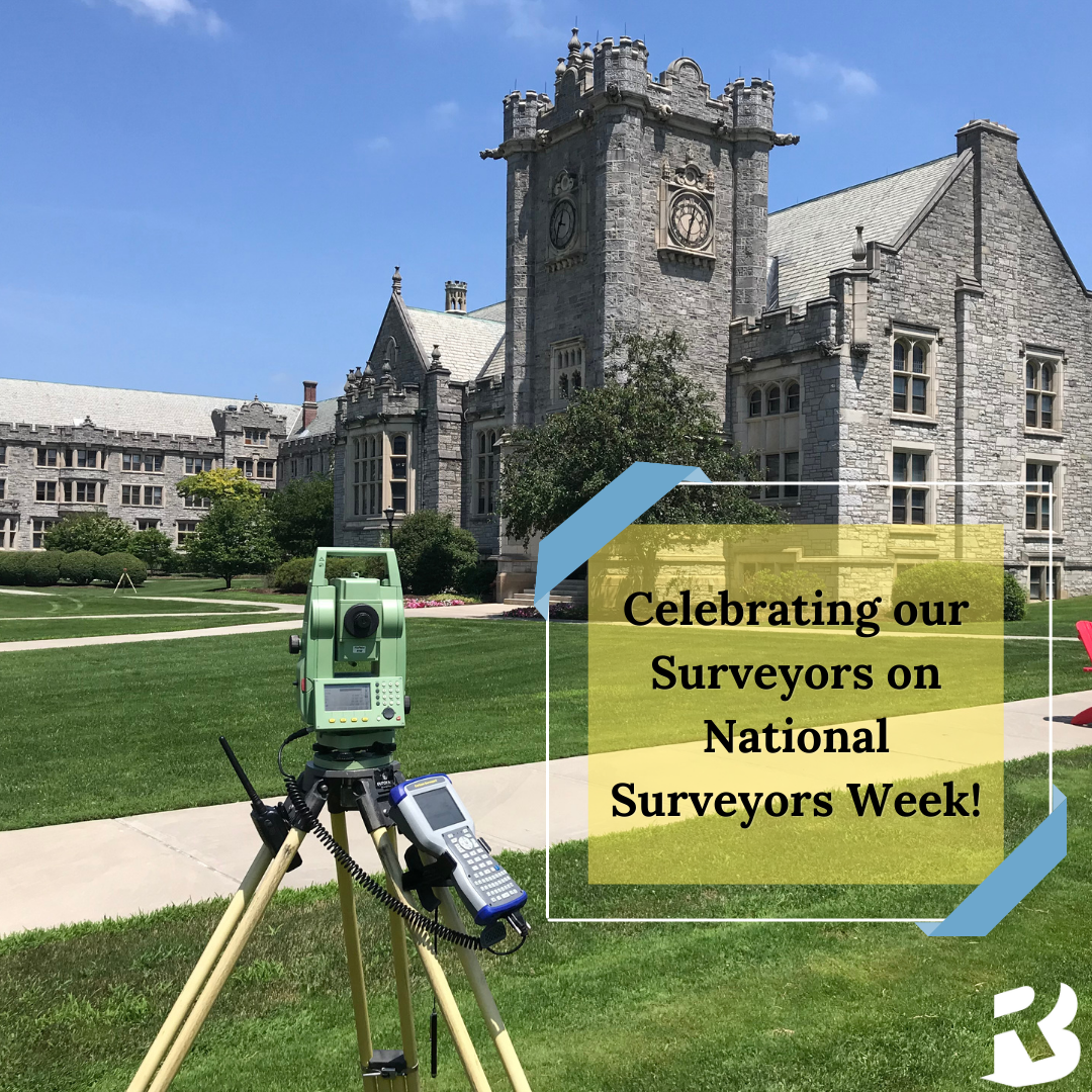 Canva Pic Surveyors Week
